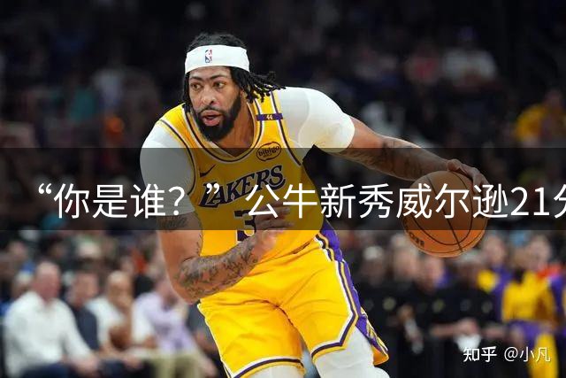 “你是谁？”公牛新秀威尔逊21分8板隔扣挑衅者，夏联场均23.5分7.3板